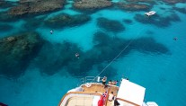 MASTEKA 2 -  Great Barrier Reef snorkelling